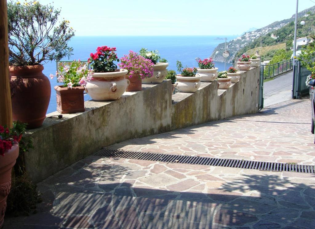 Locanda Degli Agrumi Conca dei Marini Eksteriør billede